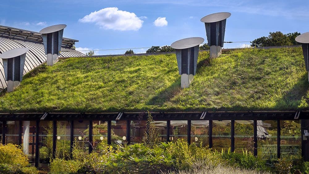 Ein Haus mit begrüntem Dach
