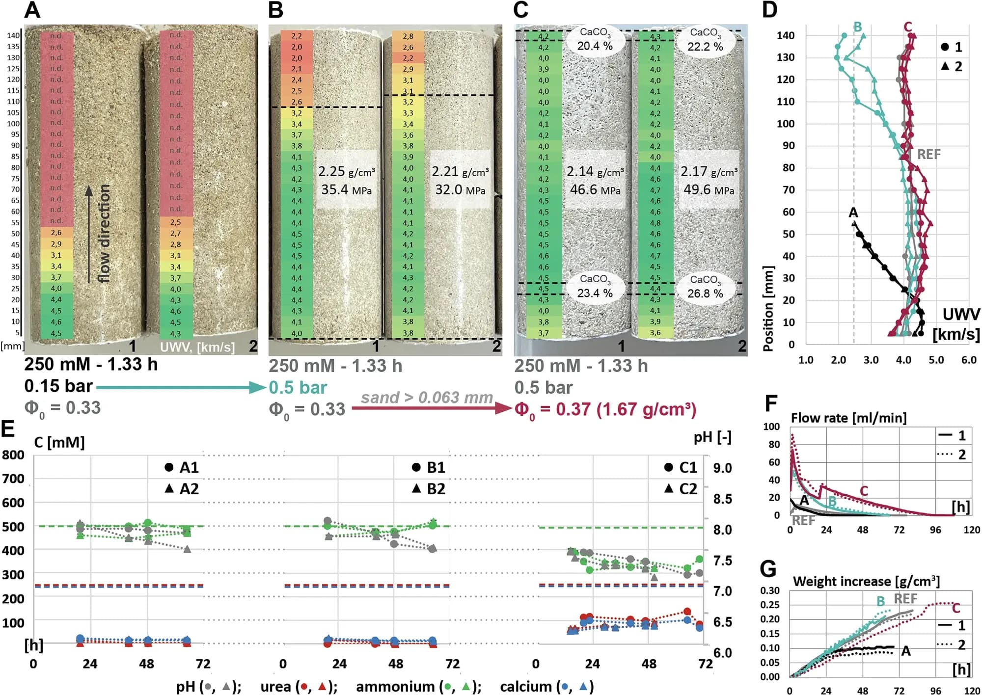 Biomineralisierung unter Verwendung niedriger Konzentrationen von Biomineralisierungslösungen (250 mM Harnstoff und 250 mM CaCl₂) im Vergleich zu den Referenzproben.