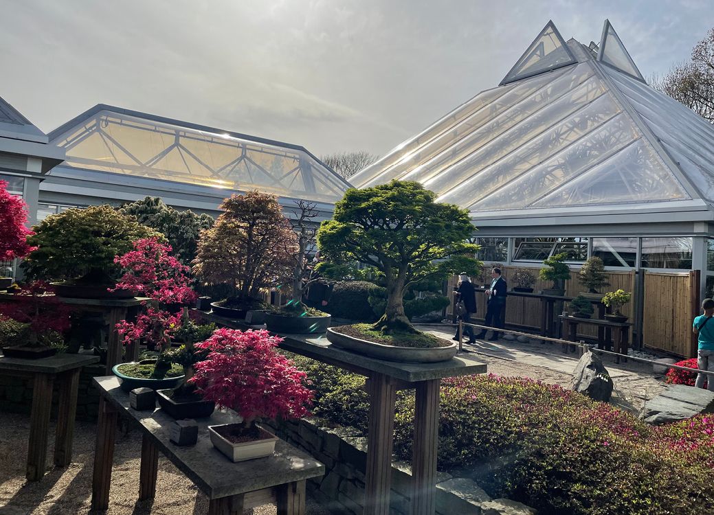 Bild 1b Nachher. Das Acrylglas der Gewächshausdächer im Grugapark war verwittert und unansehnlich geworden (a), deshalb wurden die botanischen Schauhäuser saniert und mit einem neuen Texlon ETFE-­Foliendach versehen (b)