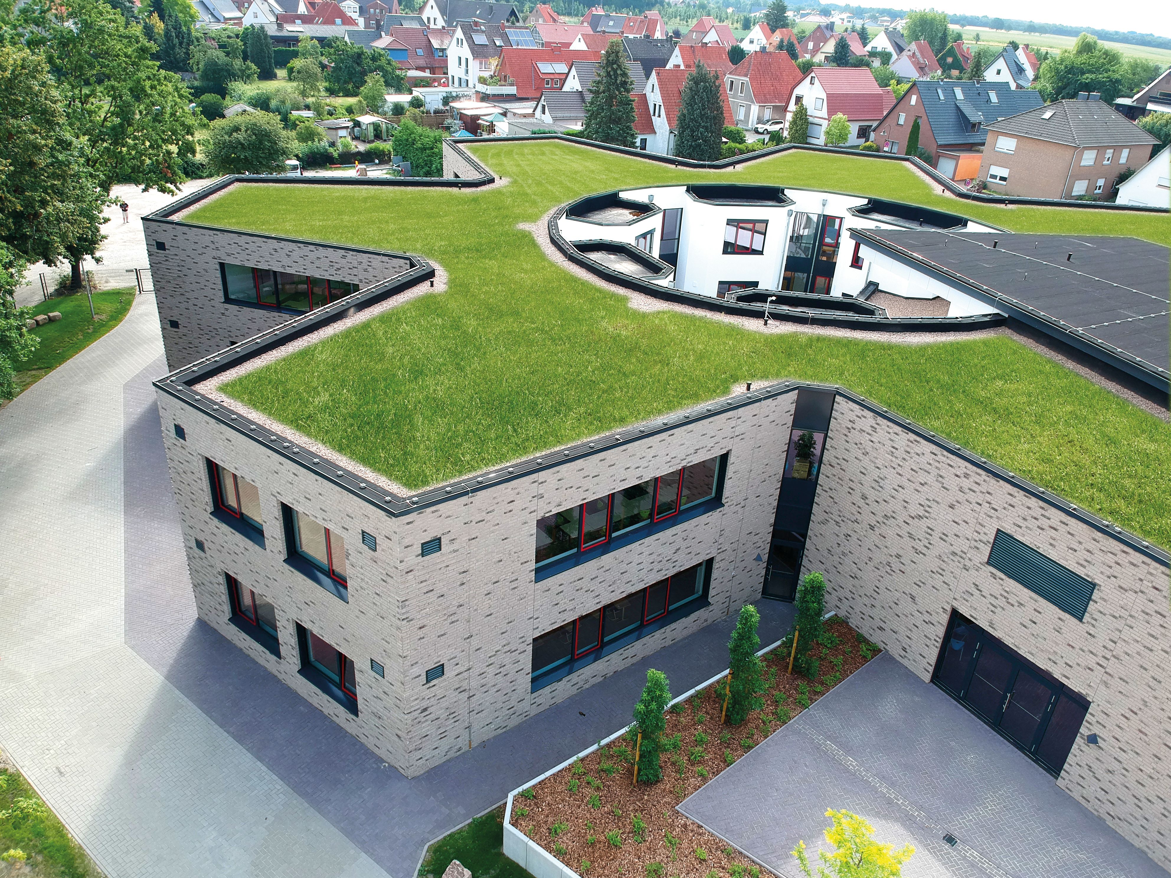 Bild 2 Bild eines begrünten Gebäudedachs
