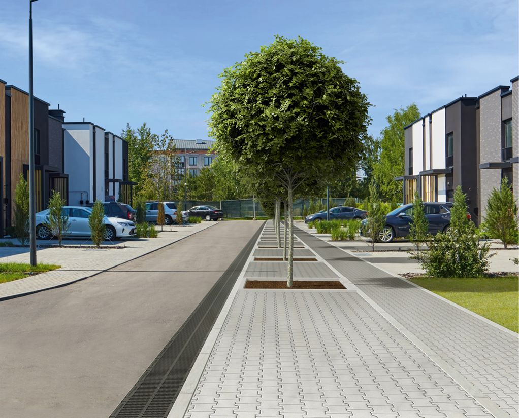 Straße mit Regenwasserbehandlung für die Baumbewässerung