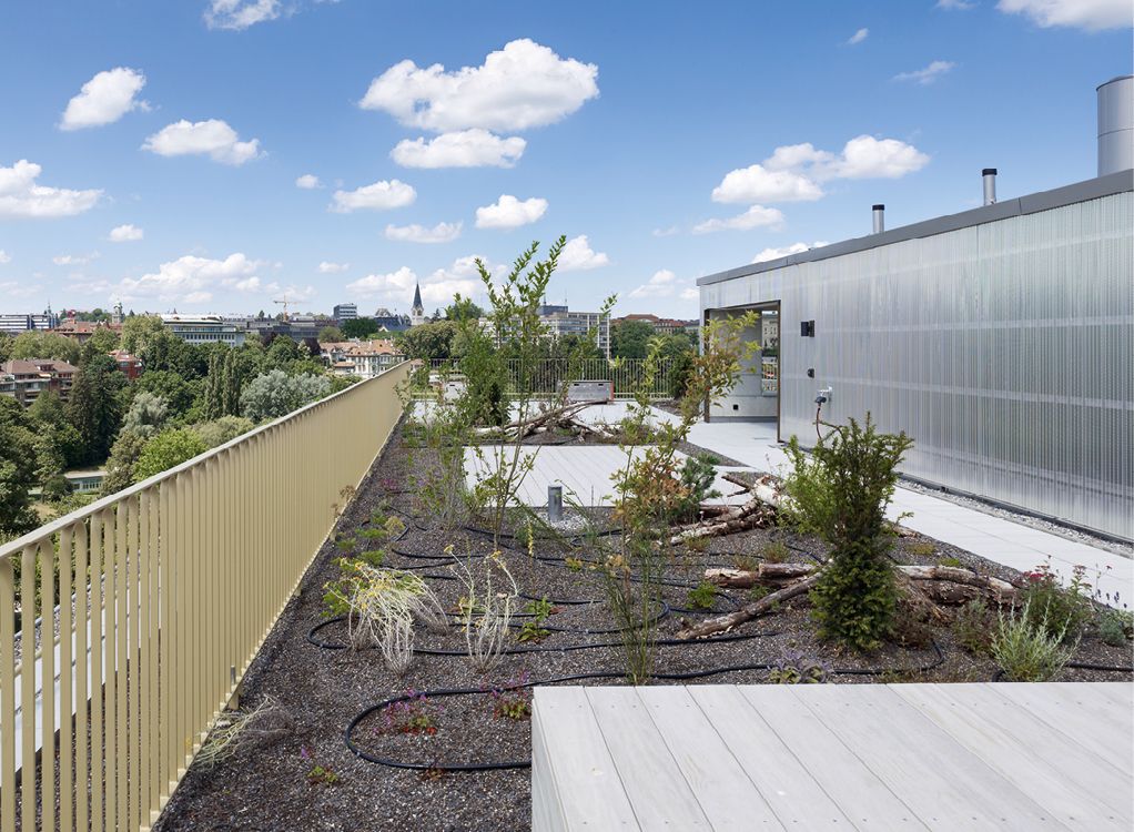 Bild 7 Die Dachterrasse lädt zu ungezwungenen Begegnungen ein Quelle: Ruedi Walti