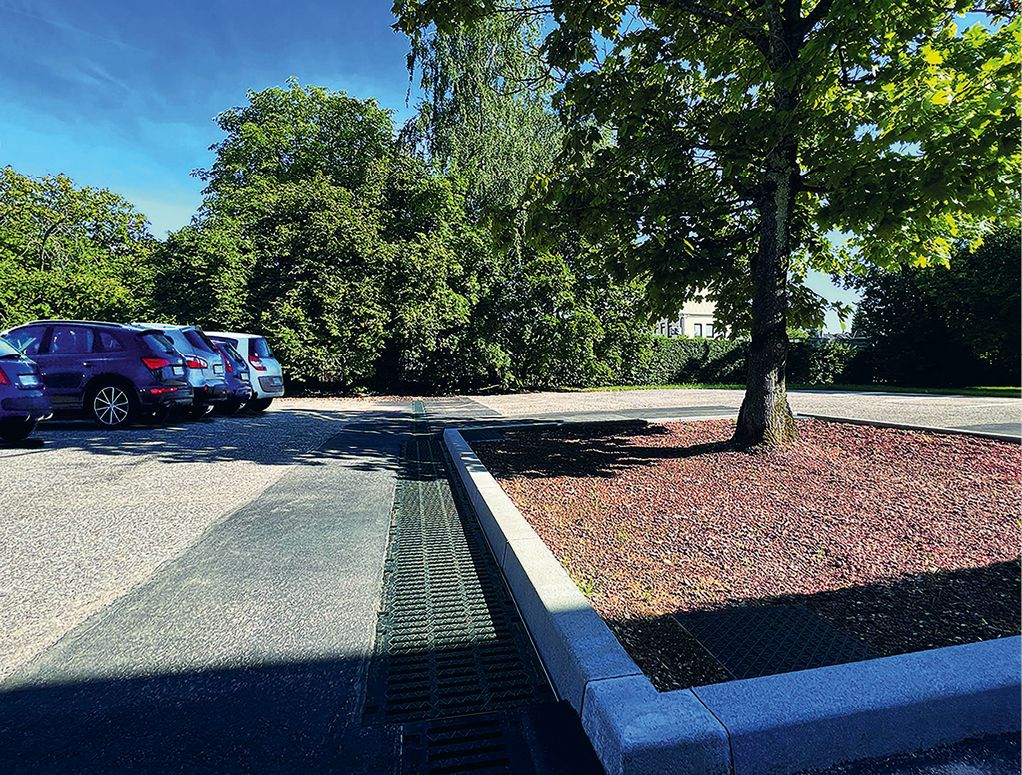 Bild 4 Wasser von der Verkehrsfläche wird zur Bewässerung des Spitzahornbaumes genutzt (Fotos: Hauraton)