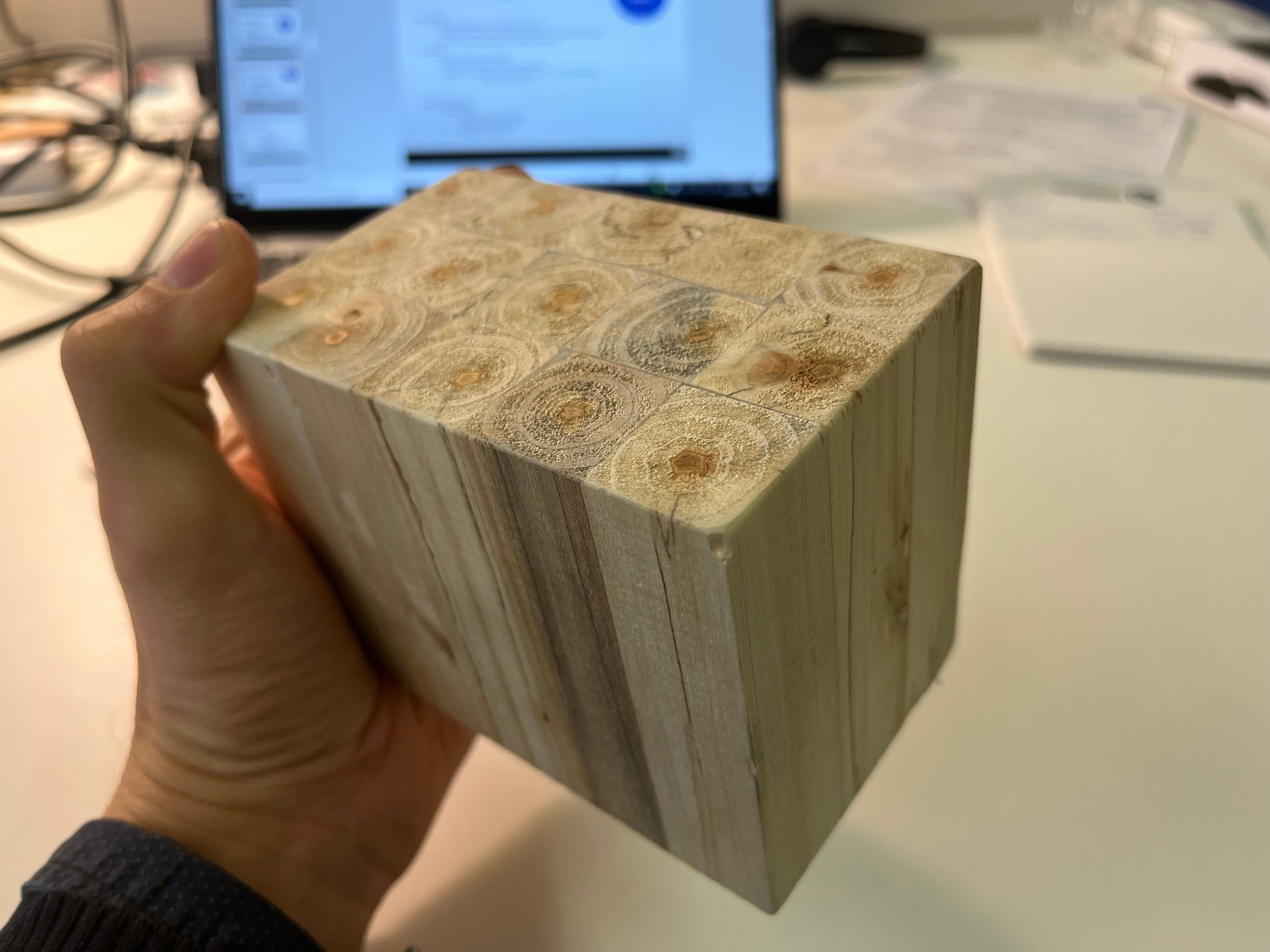 Bild 6 Brettschichtholz aus jungen KUP-Pappeln Quelle: Hochschule Biberach, Institut für Holzbau