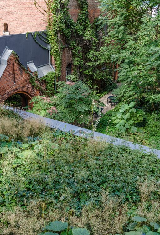 Bild 15 Im Kontrast zu dem Starren der alten Mauern steht das Ungeplante der Natur Quelle: Grüntuch Ernst Architekten/Fotograf: Markus Gröteke