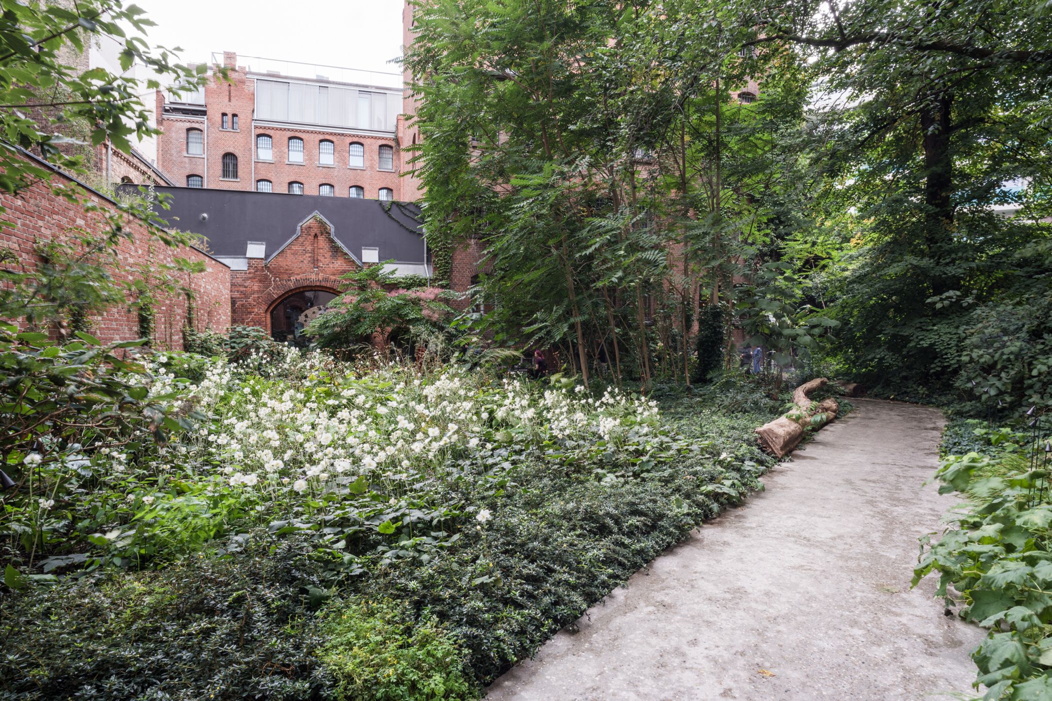 Bild 1 Der Gartenhof im Wilmina ist eine Naturinsel inmitten des Stadtblocks Quelle: Grüntuch Ernst Architekten/Fotograf: Markus Gröteke