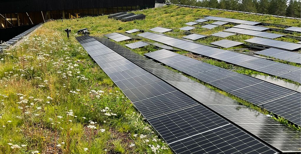 Bild 2 Die regionaltypische Biodiversität wurde durch die Kultivierung von 20.000 Stecklingen erzielt, die man eigens in der Umgebung sammelte – und mit Solar ist eine wertvolle Kombination entstanden