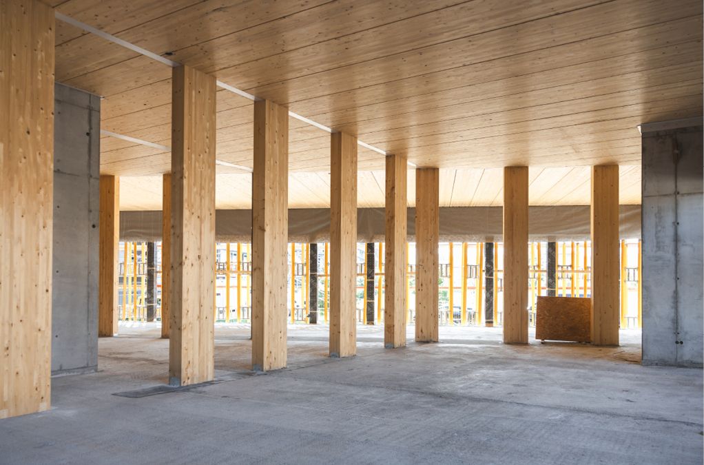 Bild 2 Die Stützenkonstruktion im Bildungshaus – hier trifft Holz auf Beton
