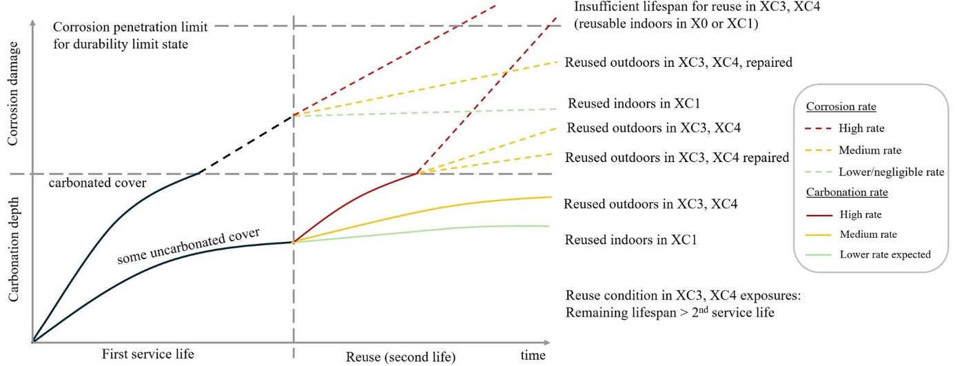 Service life scenarios considering two life cycles, and carbonation and corrosion across exposures
