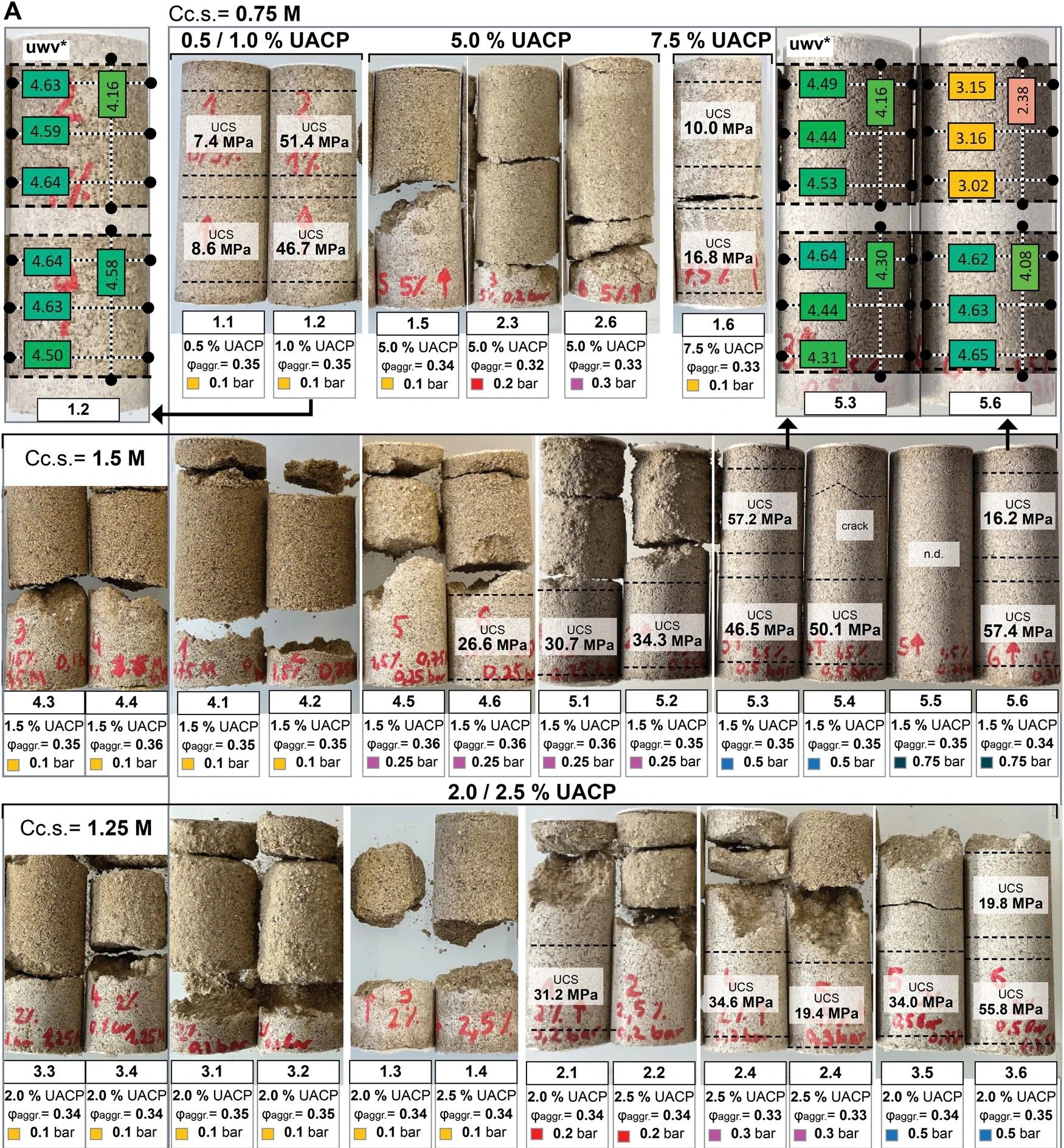 Bild Biomineralisierte Versuchskörber, Quelle: Smirnova, M., Nething, C., Stolz, A. et al. High strength bio-concrete for the production of building components. npj Mater. Sustain. 1, 4 (2023)