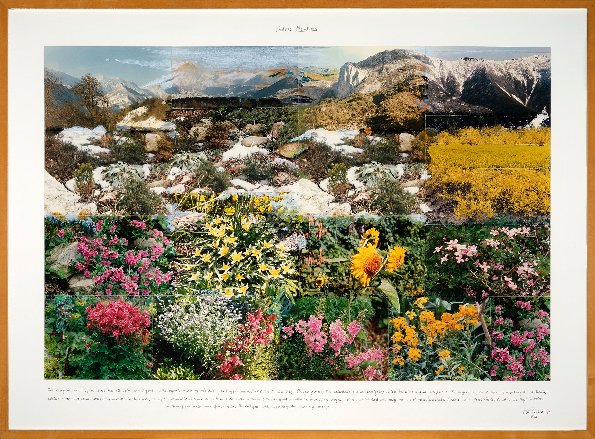 Peter Hutchinson, Coloured Mountains, 1992, © Peter Hutchinson
